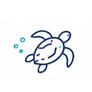 Turtle Encounters